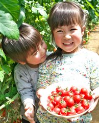 子どもにも人気