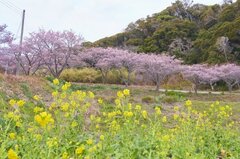 抱湖園