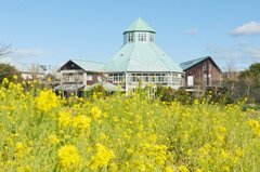 道の駅とみうら枇杷倶楽部