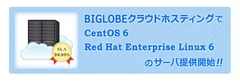 BIGLOBEクラウドホスティング サーバOSラインアップ追加