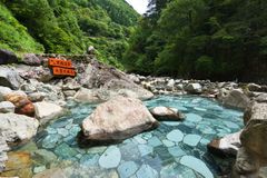 黒 セール 薙 温泉 水着