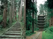 日本遺産・羽黒山杉並木