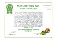 BSCG Certified CBD認証