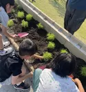 植育プログラム