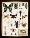 特別展「昆虫MANIAC」公式図録
