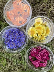 Edible Flowers