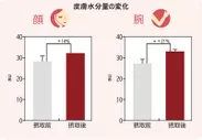 美肌効果を確認(ツバキ種子エキス末)