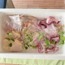 美味しいお肉　鮮度・衛生面にもできる限りの注意をはらって提供しております。