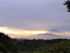 敷地からの風景(富士山ビュー)