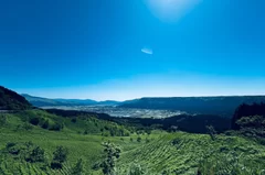 阿蘇の風景