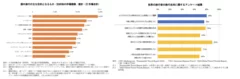 出典：国土交通省「観光白書」令和6年版