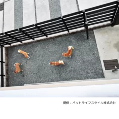 愛犬家住宅事例