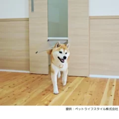 愛犬家住宅事例