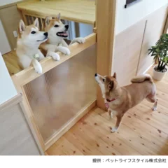 愛犬家住宅事例