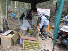 しいたけホダ木の共同圃場