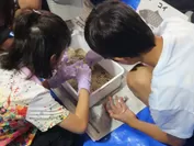 砂の中のマイクロプラスチックを探す実験