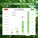 テリハボク資源が豊富な宮古島