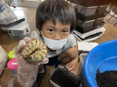 ヘラクレスオオカブトの幼虫　大きい！