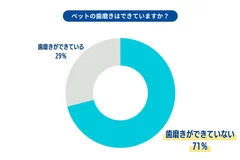 ペットの歯磨き評価