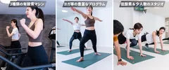 合計30種類のピラティス以外のレッスン