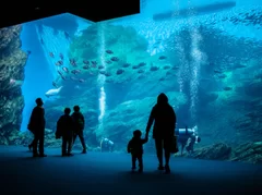 仙台うみの杜水族館(1)