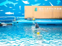 仙台うみの杜水族館(2)