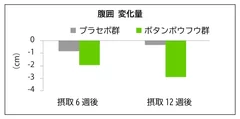 腹囲低減機能