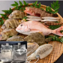 返礼品 今治の天然鮮魚BOX一例