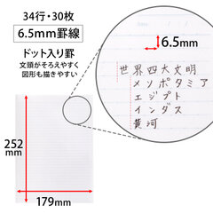 罫線特長(ドット入り6.5mm罫)