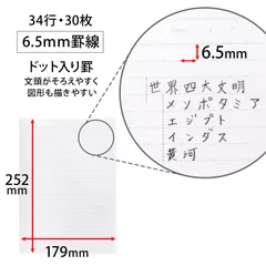 罫線特長(ドット入り6.5mm罫)