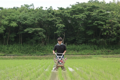 手押し除草機