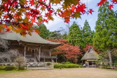 秋の紅葉(若狭神宮寺)