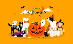 愛犬と楽しいハロウィン♪