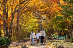 敷地内は秋一色に♪