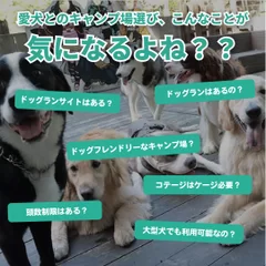 犬連れユーザーの悩み