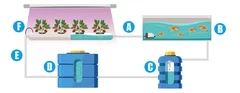 閉鎖型アクアポニックス システム概略図