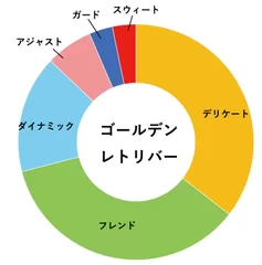 ゴールデンレトリバーの分類