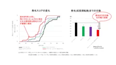 図3　マロニエ・ムクロジエキス混合エキスによる毛周期転換促進効果