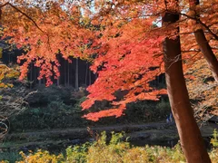 嵐山渓谷冠水橋付近