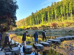 飛び石で川を渡る