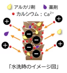 水洗時のイメージ図