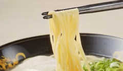 塩ラーメン「専用麺」