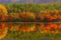 水面に映る観音沼の紅葉