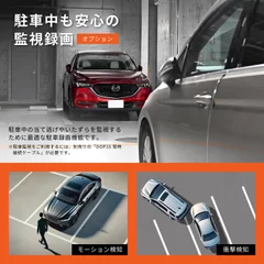 RAY25_駐車監視