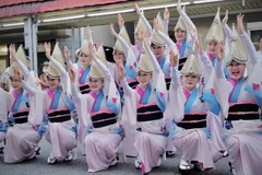 天水蓮による阿波踊り