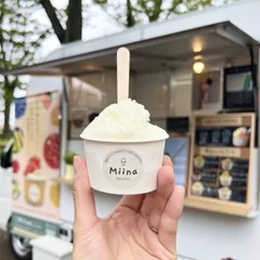 Miina gelato