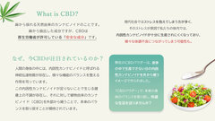 CBDとは？