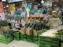 下仁田ねぎの特売会