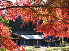 色とりどりの紅葉が広がる景色