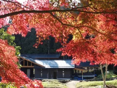 色とりどりの紅葉が広がる景色